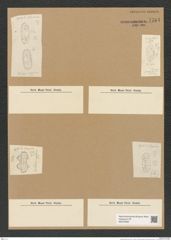 Dicladia rigosa (de-Toni-Nr.: Genus 150) Zeichnungen Sammlung Grunow Nr. 7764 (NHMW-BOT-W0376993)